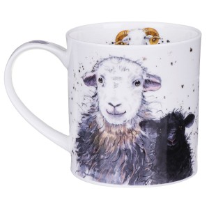 ORKNEY-KUBEK-DUNOON-SHAGGY-SHEEP-HERDWICK-1B.jpg