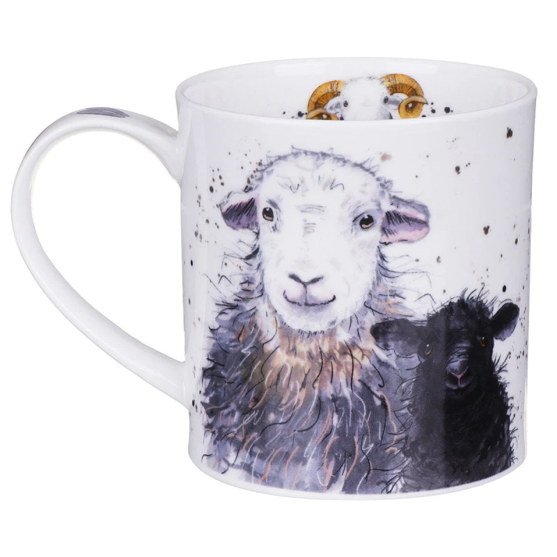 ORKNEY-KUBEK-DUNOON-SHAGGY-SHEEP-HERDWICK-1B.jpg