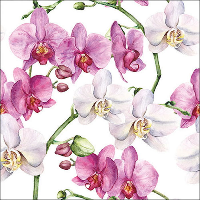 13319605_serwetki_ambiente_orchidea.jpg