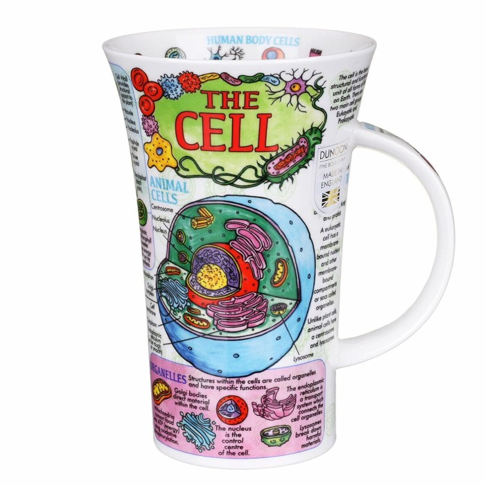 Dunoon-GL-CELL-XX-the-cell-glencoe-mug-01.jpg