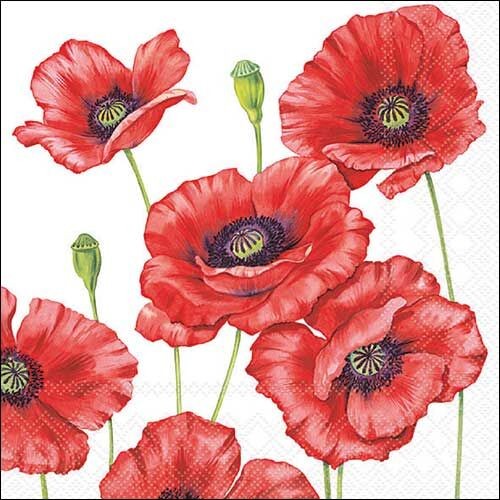 Serwetki 33x33cm, kpl/20szt.