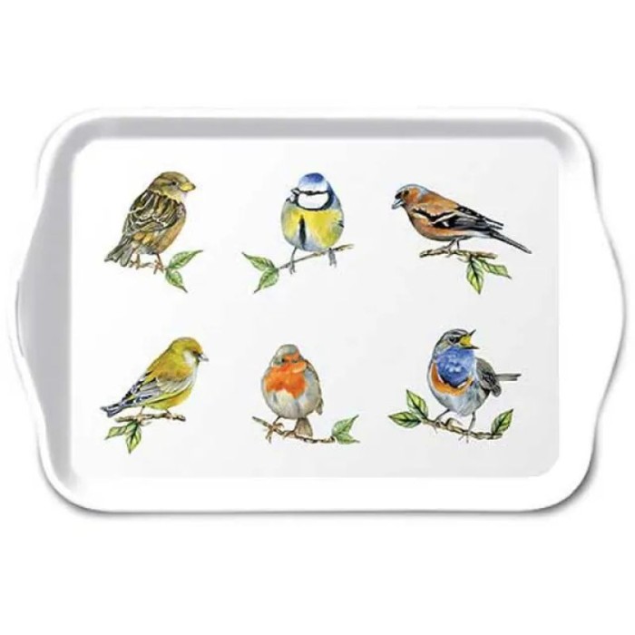 ambiente-porcelana-extraprezenty.pl-MELAMINOWA-tacka-BIRD-SPECIES.jpg