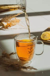 Kubek z podwójną ścianką Amo 480 ml 25851