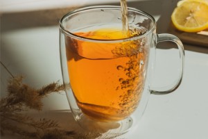 Kubek z podwójną ścianką Amo 480 ml 25851