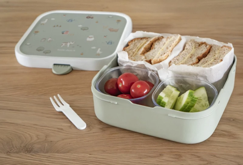 Lunchbox Campus Bento Large Dino 107435065381