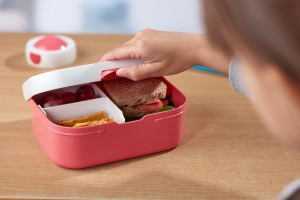 Zestaw dziecięcy butelka i lunchbox Campus Animal Friends 107410165373