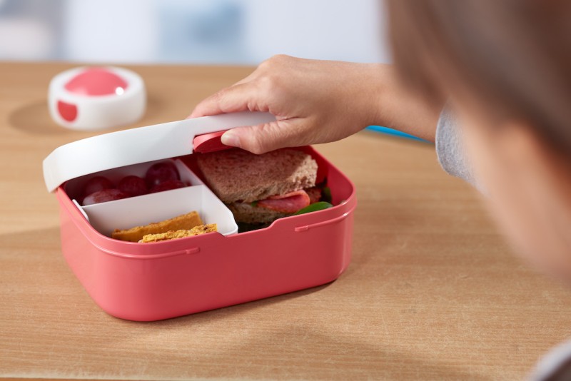 Lunchbox Campus Animal Friends 107440065373
