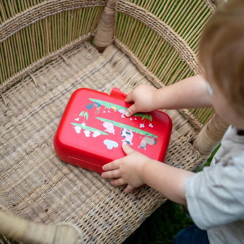 Lunchbox dziecięcy Candy L Harry 1427668