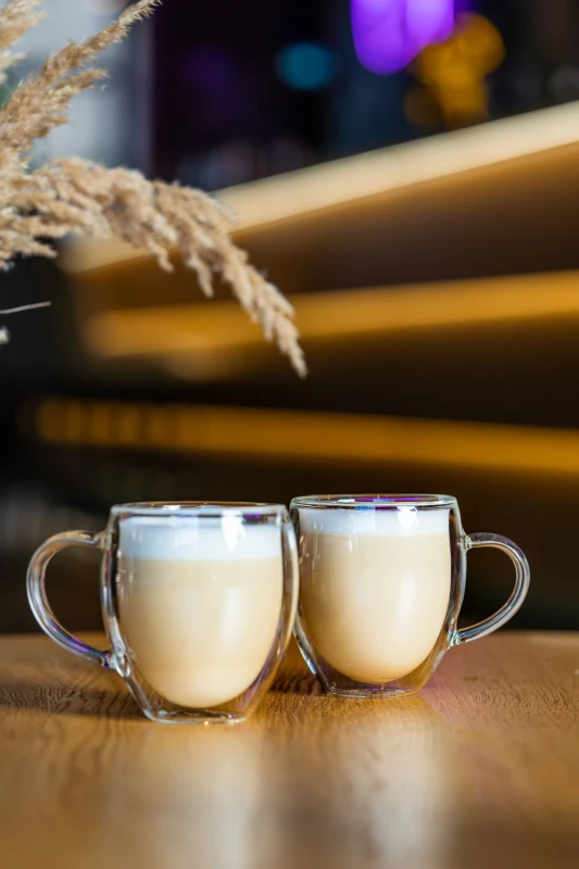 Komplet 2 szklanek z podwójną ścianką i uszkiem Noa 250 ml 29767