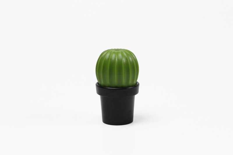 Młynek do soli lub pieprzu Tasty Cactus czarno-zielony 10252-BK-GN