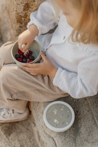 Fruit Box pudełko na owoce Campus 300 ml Cool Mint 107430090300
