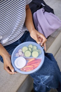 Miska Lunch Box z pokrywką i dodatkowym pojemnikiem Vita Nordic Blue 105830015700