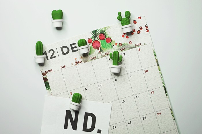 Magnesy Cactus 6-szt. pomarańcz/ziel 10288-OR-GN