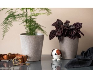 Hoptimist Dog S White 26124