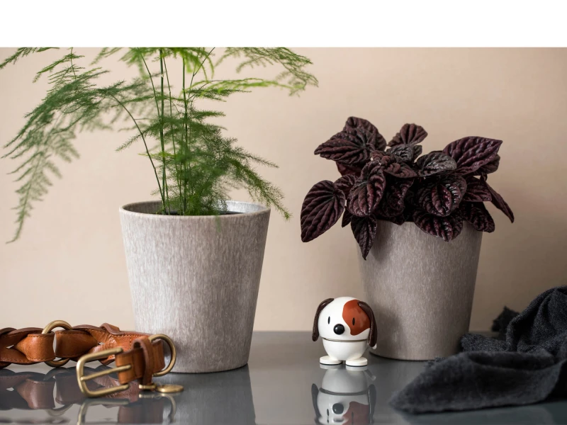 Hoptimist Dog S White 26124