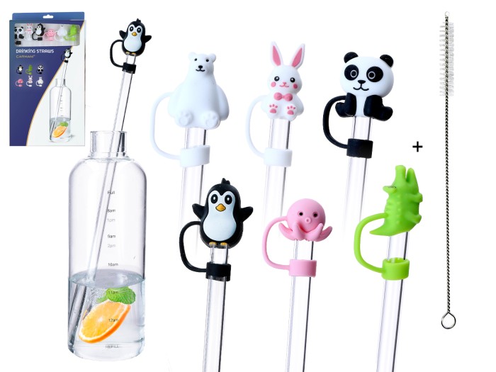 Kpl. 6 szklanych słomek z silikonowymi końcówkami i czyścikiem.