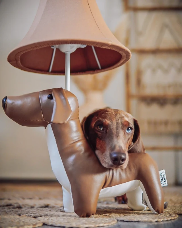 4251839100034_HappyLamps_Waldi_Dackellampe_2.webp