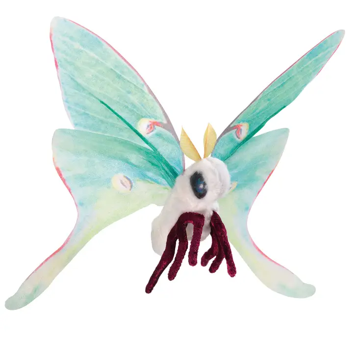 pluszak folkmanis motyl.webp