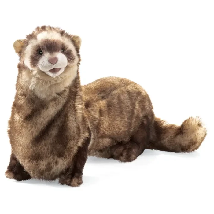 pluszak folkmanis fretka.webp