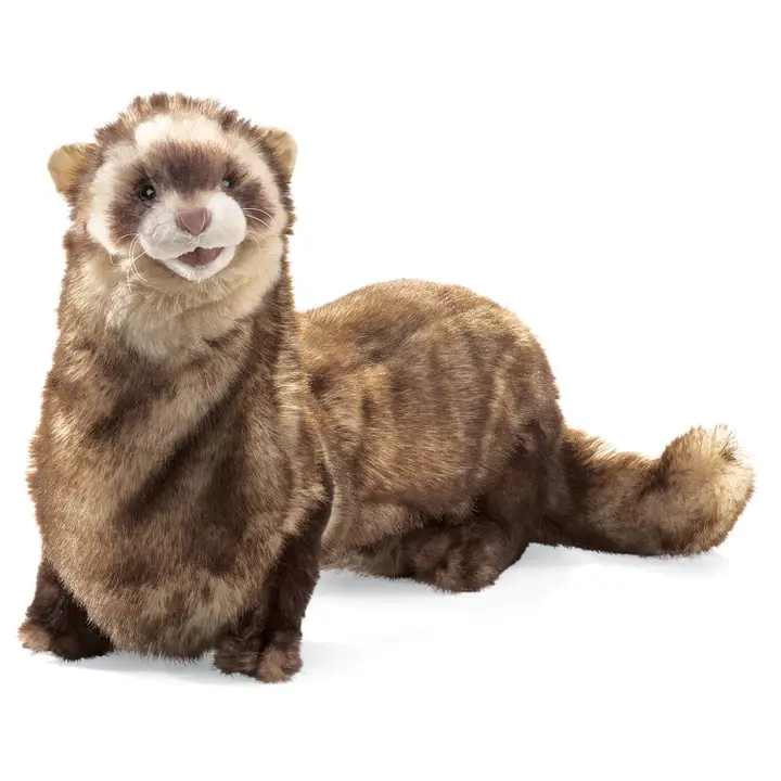 pluszak folkmanis fretka.webp