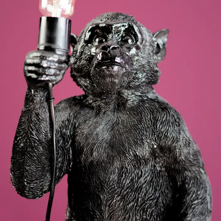 lampa małpka 2.webp