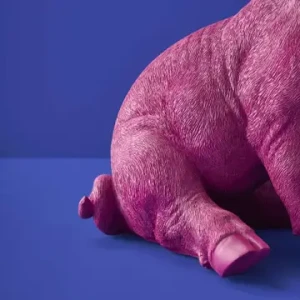 lampka świnka 9.webp