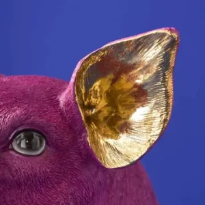 lampka świnka 6.webp