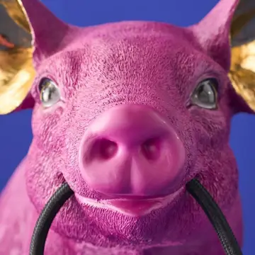 lampka świnka 2.webp