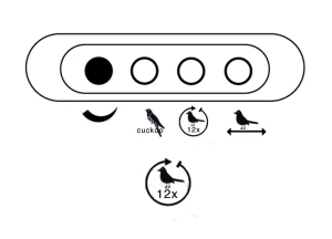ALL3.webp