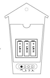 ALL4.webp