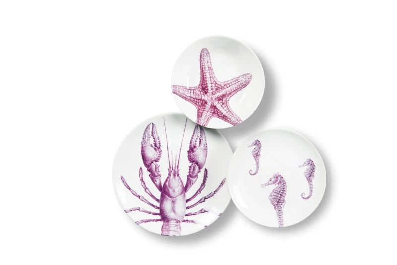 talerze-18cm-faune&flore-2.webp