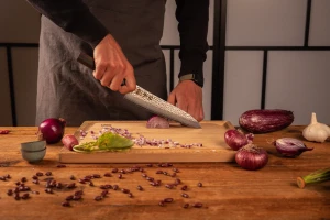 Kotai, Nóż Gyuto 210 mm - Kolekcja Densho