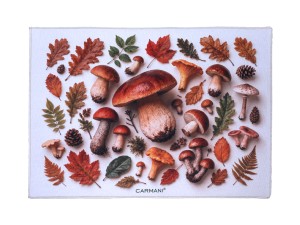 Carmani, podkładka na stół z tw. sztucznego - JESIENNE BARWY (ok. 40x30cm)