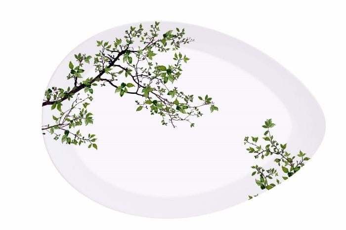 44122f468b8057e68470f95a4432d20a