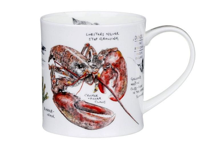 2f12746408e7624ea387a9ddc032e95d