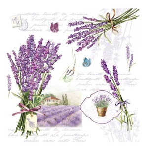 579d0ecbe9e90004605466ac25aa912a