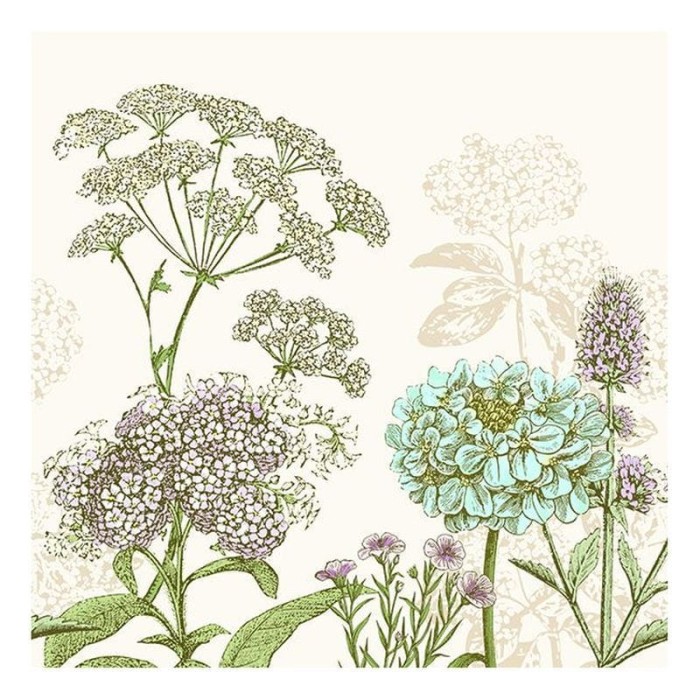 a1500a236a3863736a7ca495c00b9798