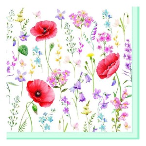 949132dccf72234779faf523a74b93b4