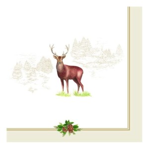 d66be5de1ac46a86ff1b757ffbef1bfd