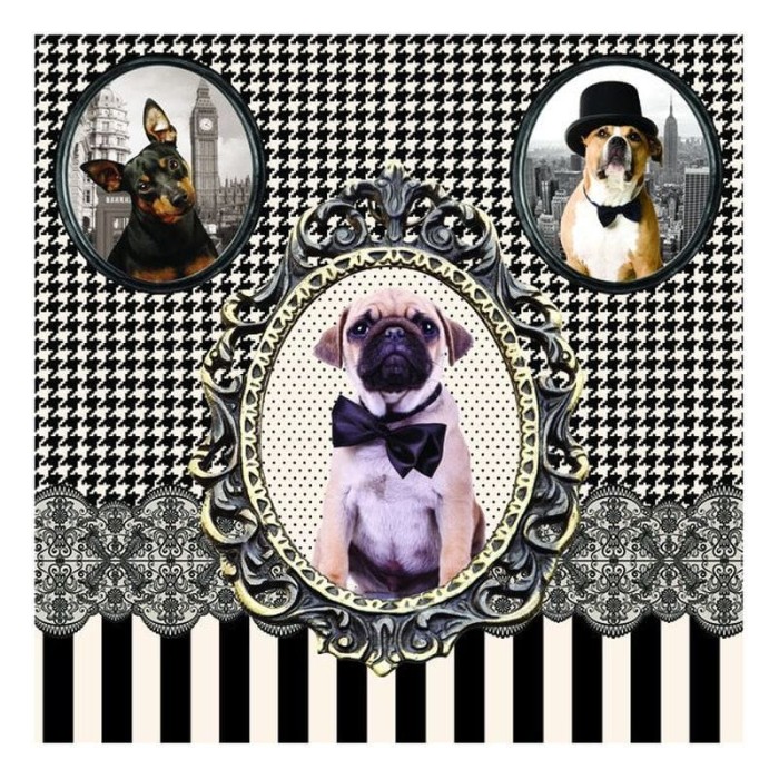 94cd030fd4a2ac8e7079317a26703b6d