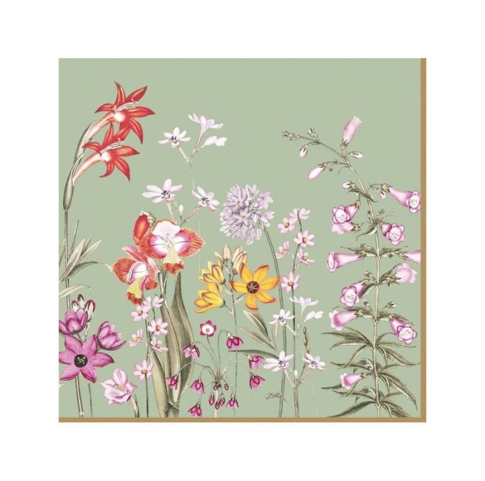 6f5992adf78115a956313239b73747f6