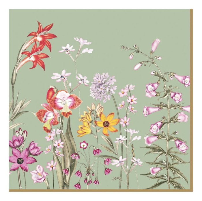 a6215473bd865eaba5f1a42141a9ac61