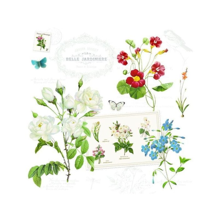 c35d85779a0225a2dde80f4c7ad22223