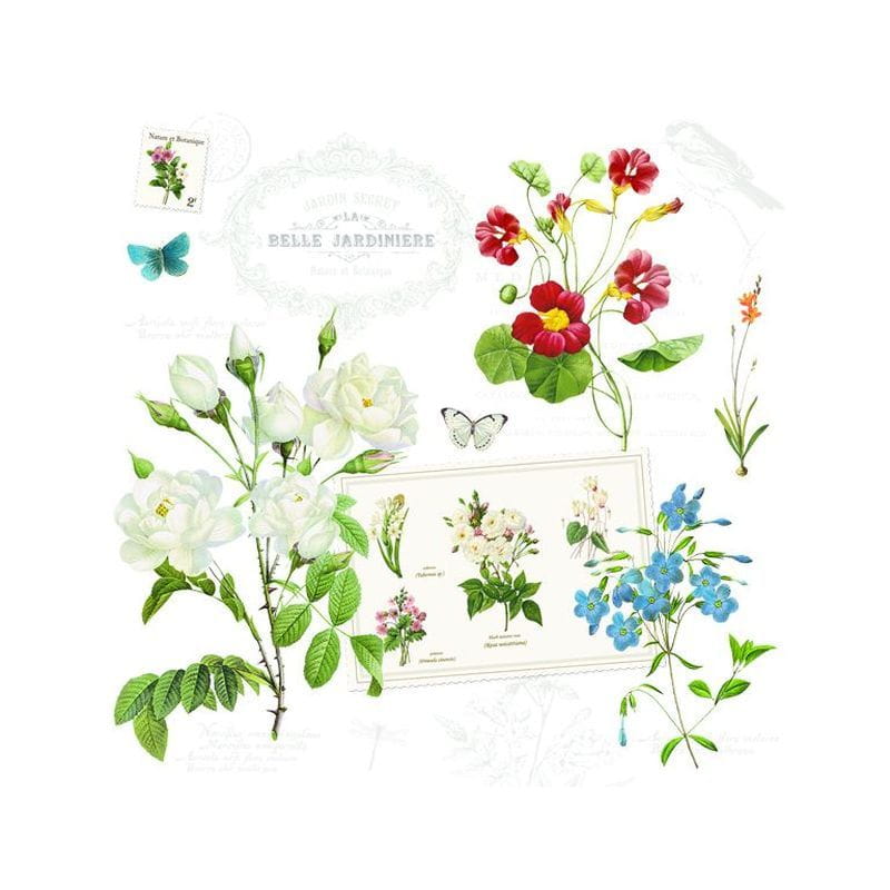 c35d85779a0225a2dde80f4c7ad22223