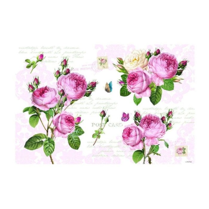 f97981b8639b0bca058b39ee12e0a580