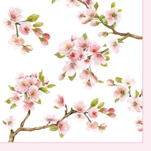 1c8e03c8e764fe007c2eda38ae50c0d1