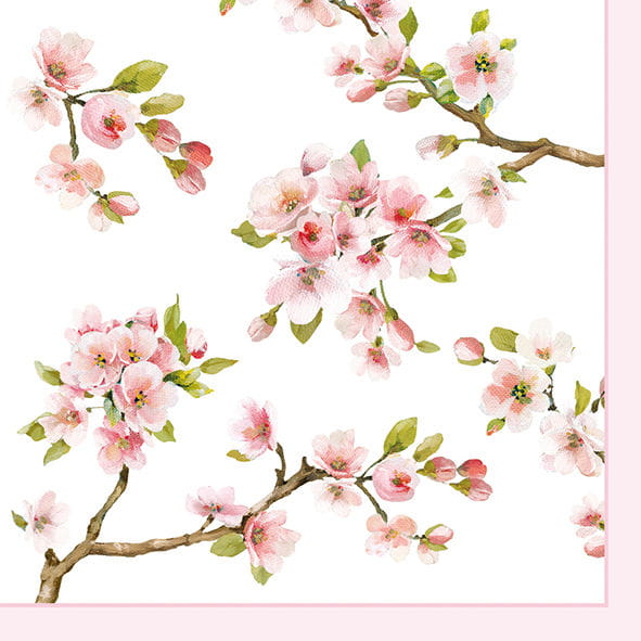 1c8e03c8e764fe007c2eda38ae50c0d1