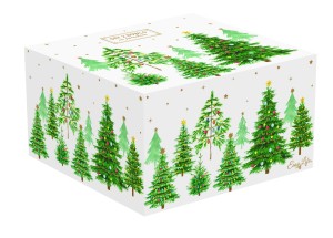 1490 FTRE BOX.jpg